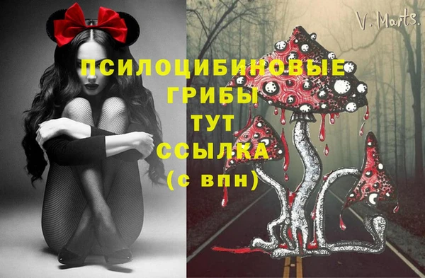ALPHA PVP Алексин