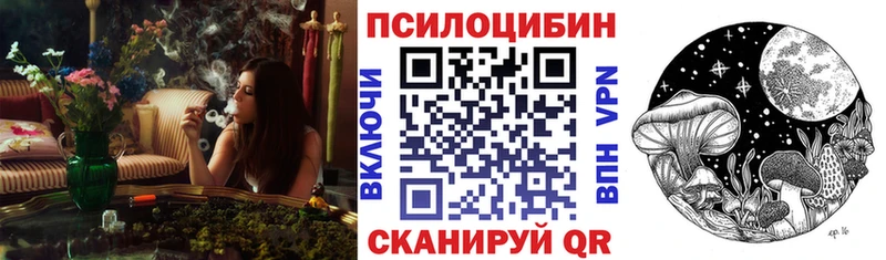 Псилоцибиновые грибы Psilocybe  MEGA вход  Камбарка  цены  